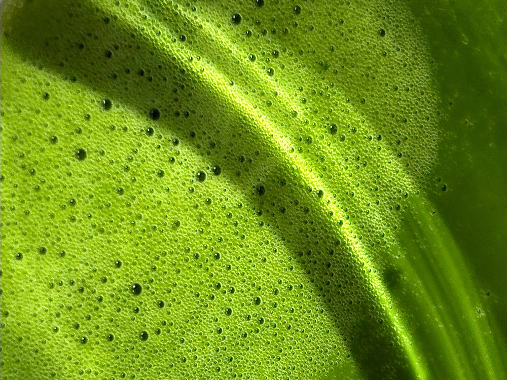 Close-up of fine, bright green foam on freshly whisked matcha